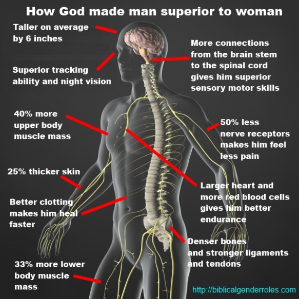 HowGodMadeManSupToWoman