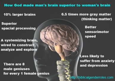MansBrainSupToWoman